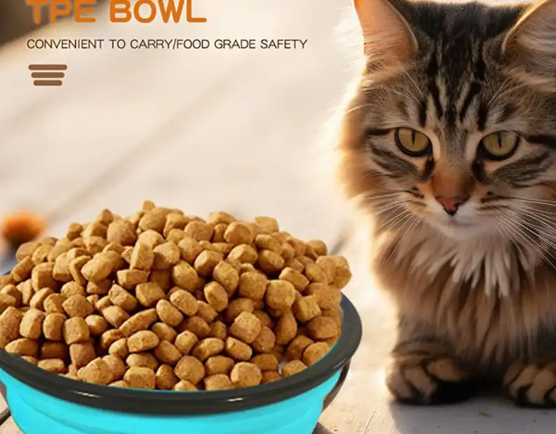 Non-Toxic TPE Folding Pet Bowl – Dishwasher-Safe OEM Solutions